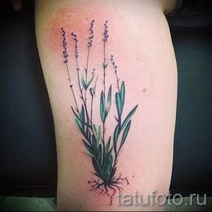 фото пример тату лаванда для статьи про значение этой татуировки 25
