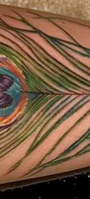 Фотография классной тату перо павлина рисунок которой подойдет для икры или предплечья — значение тату материал
