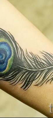 Фотография интересной тату перо павлина рисунок которой подойдет для ляжки или спины — значение тату материал