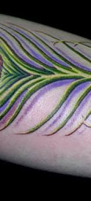 Фото необычной тату перо павлина эскиз которой подойдет для бедра или шеи — значение тату материал
