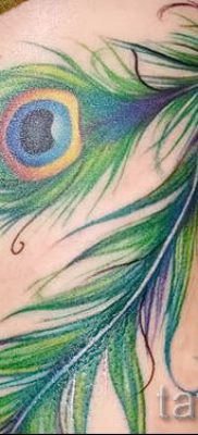 Пример классной тату перо павлина рисунок которой подойдет для икры или руки — значение тату материал