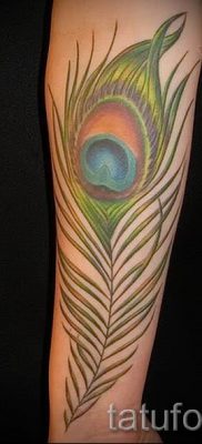 Фото оригинальной татуировки перо павлина рисунок которой подойдет для бедра или запястья — значение тату материал