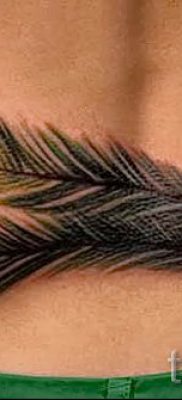 Фото стильной татуировки перо павлина рисунок которой подойдет для туловища или руки — значение тату материал