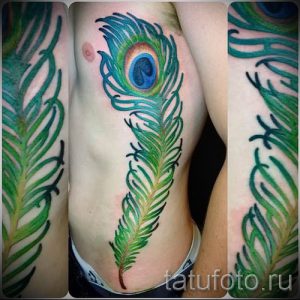 Фотография стильной татуировки перо павлина эскиз которой подойдет для бедра или запястья - значение тату материал