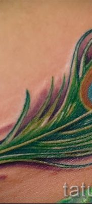 Фотография оригинальной татуировки перо павлина рисунок которой подойдет для бедра или шеи — значение тату материал
