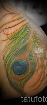 Пример стильной наколки перо павлина рисунок которой подойдет для ляжки или предплечья — значение тату материал