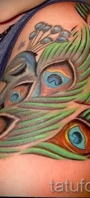 Фотография необычной тату перо павлина рисунок которой подойдет для икры или спины — значение тату материал