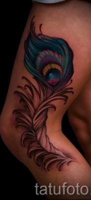 Вариант стильной татуировки перо павлина рисунок которой подойдет для голени или руки — значение тату материал