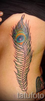 Фото стильной татуировки перо павлина эскиз которой подойдет для голени или груди — значение тату материал