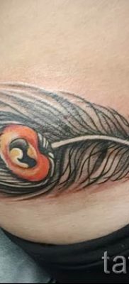 Пример классной тату перо павлина рисунок которой подойдет для туловища или шеи — значение тату материал