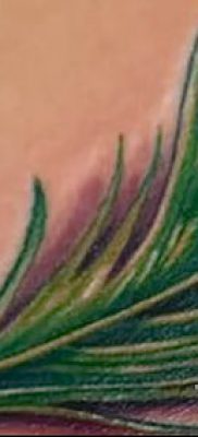 Вариант крутой тату перо павлина эскиз которой подойдет для ноги или руки — значение тату материал