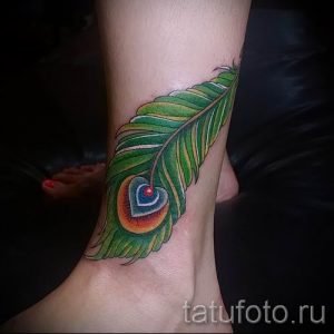 фото пример варианта тату с пером павлина - для статьи про значение это татуировки 2