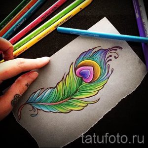 фото пример варианта тату с пером павлина - для статьи про значение это татуировки 5