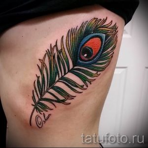 фото пример варианта тату с пером павлина - для статьи про значение это татуировки 6