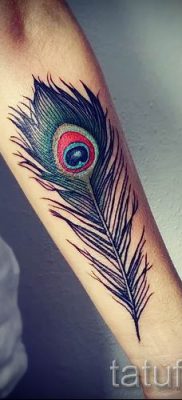 фото пример варианта тату с пером павлина — для статьи про значение это татуировки 8