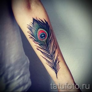 фото пример варианта тату с пером павлина - для статьи про значение это татуировки 8