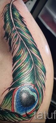 фото пример варианта тату с пером павлина — для статьи про значение это татуировки 9