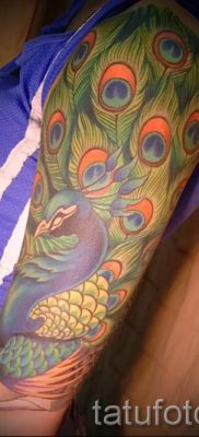 фото пример варианта тату с пером павлина — для статьи про значение это татуировки 10