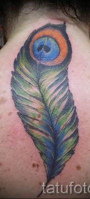 фото пример варианта тату с пером павлина — для статьи про значение это татуировки 15