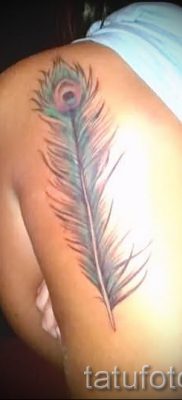 фото пример варианта тату с пером павлина — для статьи про значение это татуировки 18