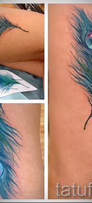 фото пример варианта тату с пером павлина — для статьи про значение это татуировки 20