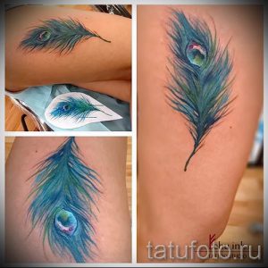 фото пример варианта тату с пером павлина - для статьи про значение это татуировки 20