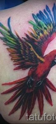 фото пример тату попугай для статьи про значение тату с попугаем — 3