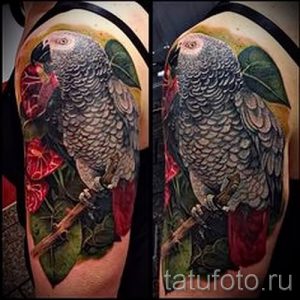 фото пример тату попугай для статьи про значение тату с попугаем - 10