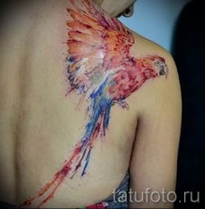 фото пример тату попугай для статьи про значение тату с попугаем - 11