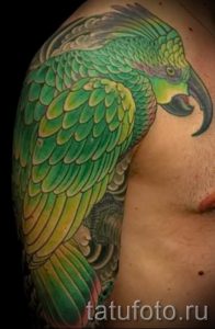 фото пример тату попугай для статьи про значение тату с попугаем - 18