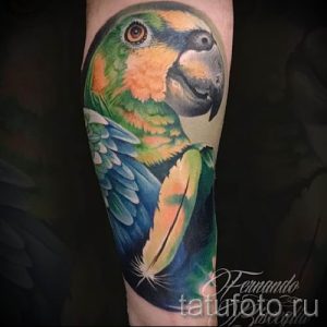 фото пример тату попугай для статьи про значение тату с попугаем - 19