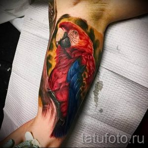 фото пример тату попугай для статьи про значение тату с попугаем - 39