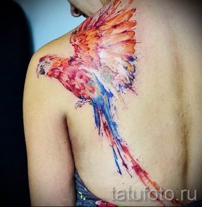 фото пример тату попугай для статьи про значение тату с попугаем - 46