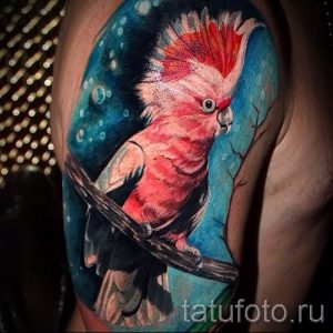 фото пример тату попугай для статьи про значение тату с попугаем - 49
