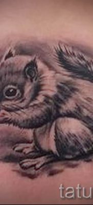 фото тату белка для статьи про значение татуировки с белкой — tatufoto.ru — 1