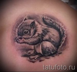 фото тату белка для статьи про значение татуировки с белкой - tatufoto.ru - 1