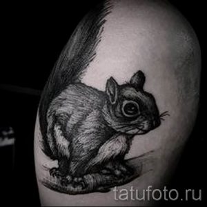 фото тату белка для статьи про значение татуировки с белкой - tatufoto.ru - 4
