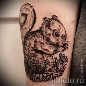 фото тату белка для статьи про значение татуировки с белкой - tatufoto.ru - 10
