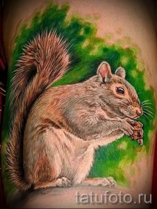 фото тату белка для статьи про значение татуировки с белкой - tatufoto.ru - 13