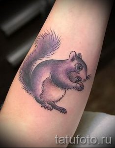 фото тату белка для статьи про значение татуировки с белкой - tatufoto.ru - 17