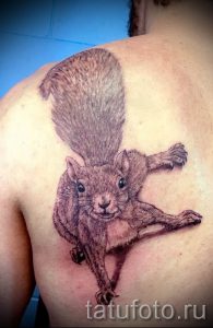 фото тату белка для статьи про значение татуировки с белкой - tatufoto.ru - 22