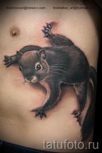 фото тату белка для статьи про значение татуировки с белкой - tatufoto.ru - 30