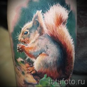фото тату белка для статьи про значение татуировки с белкой - tatufoto.ru - 35