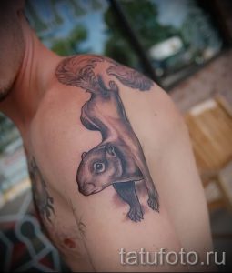 фото тату белка для статьи про значение татуировки с белкой - tatufoto.ru - 38
