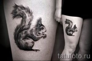 фото тату белка для статьи про значение татуировки с белкой - tatufoto.ru - 44