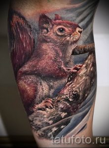 фото тату белка для статьи про значение татуировки с белкой - tatufoto.ru - 58