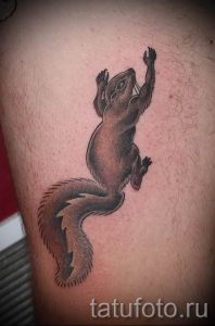 фото тату белка для статьи про значение татуировки с белкой - tatufoto.ru - 60