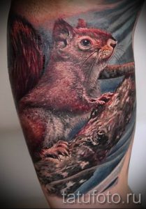 фото тату белка для статьи про значение татуировки с белкой - tatufoto.ru - 63