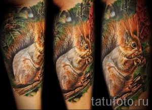фото тату белка для статьи про значение татуировки с белкой - tatufoto.ru - 64