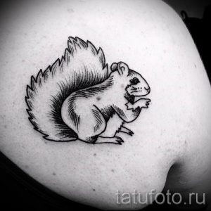 фото тату белка для статьи про значение татуировки с белкой - tatufoto.ru - 68